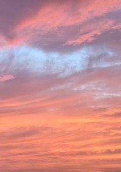 覚えてますか?(shoci)