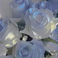 ぱむぱむさんのアイコン画像