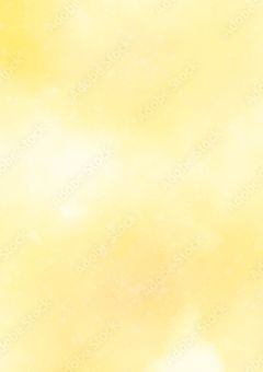 新人さんは嘘つきらしい