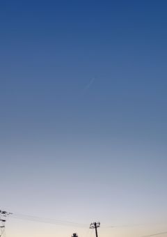 終わりと始まりの紺桔梗