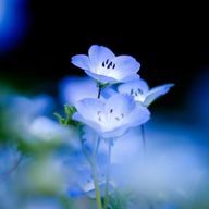 音翔さんのアイコン画像