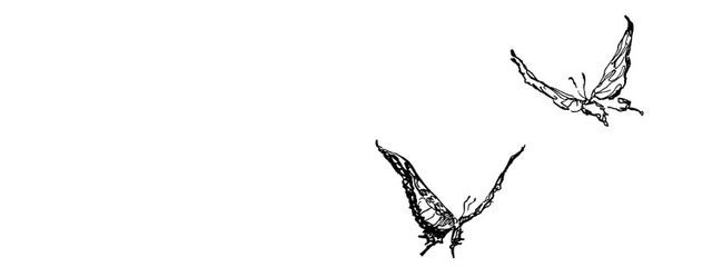  ‎︎‪✿︎さんの壁紙画像