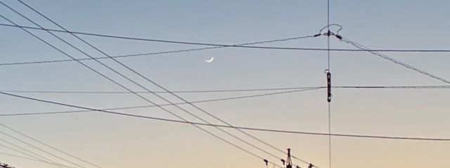 🌙さんの壁紙画像