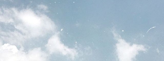 𝚖𝚒𝚘𝚛𝚒_.さんの壁紙画像