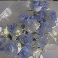 ほあさんのアイコン画像