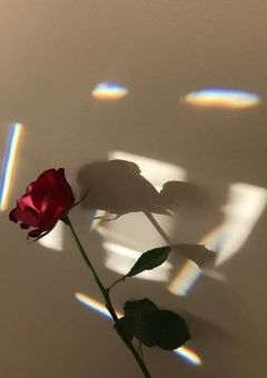 いじられ最年長組は裏で溺愛される