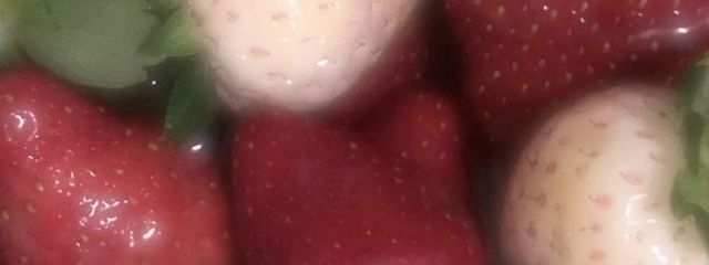 ゆさんの壁紙画像