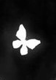 ねねね㌠(仮)
