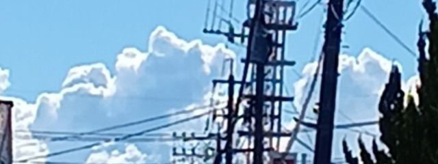 兎村 よもぎさんの壁紙画像