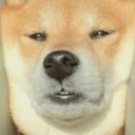 ◯miluさんのアイコン画像