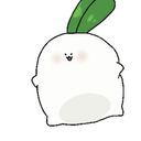 マンドラゴラ
