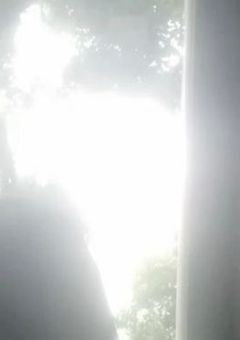 拝啓ダーリン