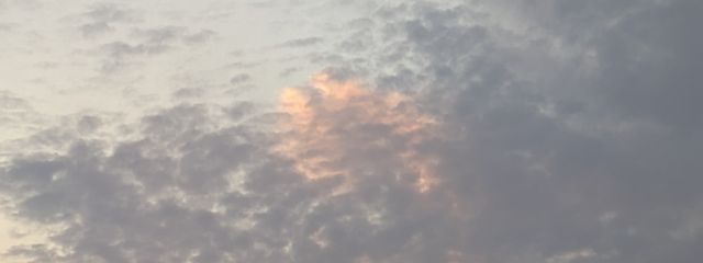 こんぺいとうさんの壁紙画像