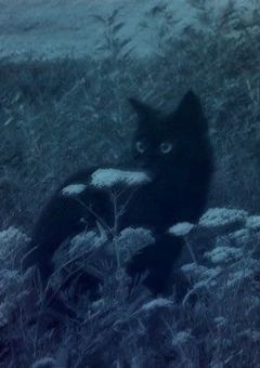 スキズの2人目の98lineは