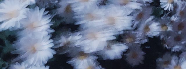 ☁️さんの壁紙画像