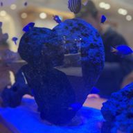 ののはさんのアイコン画像