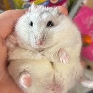 ゆなさんのアイコン画像