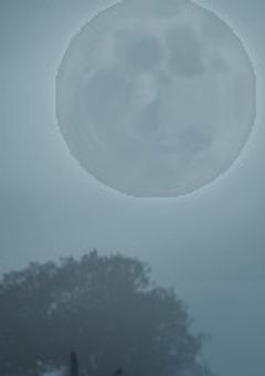 らいの配信部屋