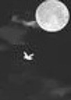 魔界のホストクラブ