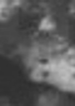 魔界のメイド喫茶