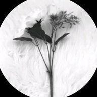 Mさんのアイコン画像
