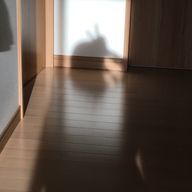 yuu🫧🍗さんのアイコン画像