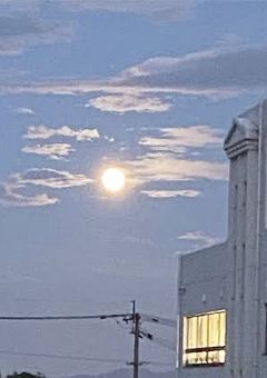 あなたにとって私はあなたのなんですか？