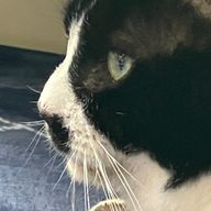 ひより　りりなー🐥💚👨🏻‍🦲さんのアイコン画像