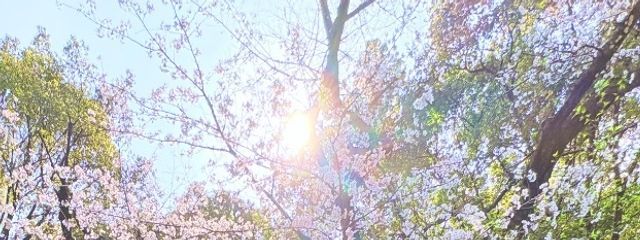 にゅんさんの壁紙画像