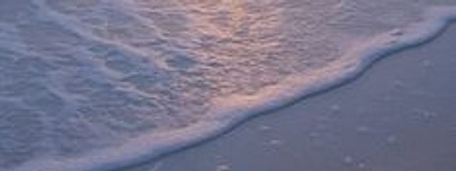 白雪　鈴津さんの壁紙画像