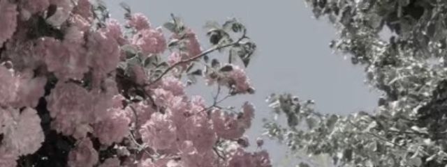 ×さんの壁紙画像
