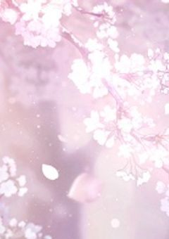 【rdkn】　___    また　、　桜の木の下で　。