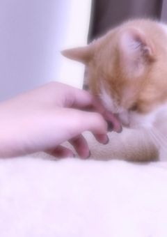 雑談〜‎𖤐 ̖́-‬