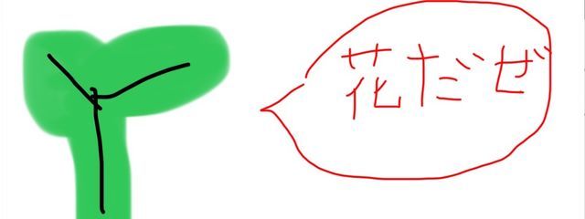 そこら辺に生えてる雑草みたいな花さんの壁紙画像