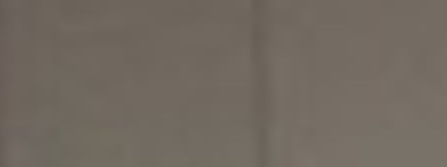 溶けたねこさんの壁紙画像