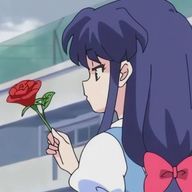 桜らてさんのアイコン画像