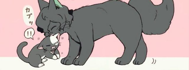 ℝ𝔼ℂℍ𝕀さんの壁紙画像