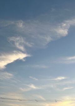 おすすめ小説、紹介します