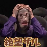 SO⁴さんのアイコン画像