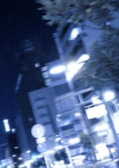 嘘つき姫実はツンデレなだけでした