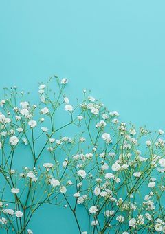 執事…毎回プロポーズするのやめてくれません、？