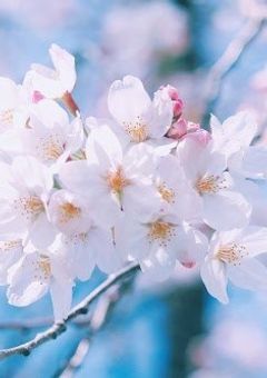 みんなのいい所をかくるーむ໒꒱୨୧.*