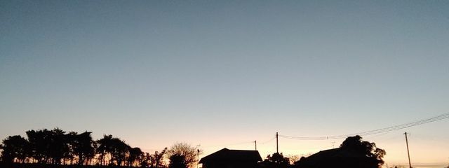 zorra さんの壁紙画像