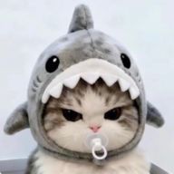 ちゃち！さんのアイコン画像