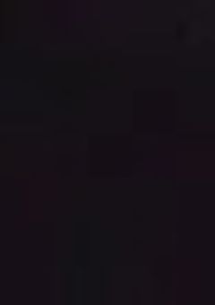 愛されたかっただけなんです