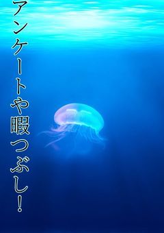 アンケートとか質問とか！