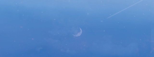 れいたんさんの壁紙画像