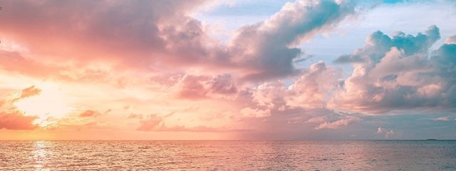 紅葉ノ作さんの壁紙画像