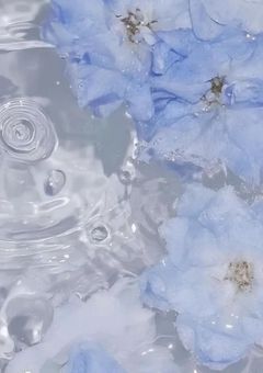 ﾎﾞｼｭｰﾁｭｳｯ®