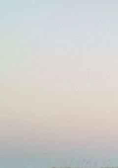 トーク＆リレー   ❄️🪶